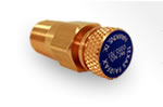 Texas Fairfax 1/4" Pressure Temperature Test Plug
